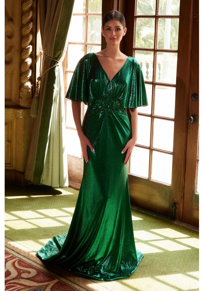 Mother of the Bride Dress -  Long Metallic Material with V-neck and Back - CH-NAMD130