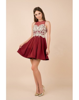 Short Party Dress - Jewel Illusion Neckline With Lace Embroidered - CH-NA6338