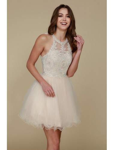 Fully Lined Sparkly Lace Tulle Cocktail Dress - CH-NAB652-CHAMPAGNE