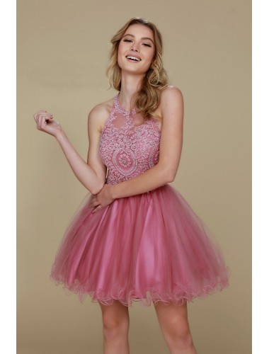 Fully Lined Sparkly Lace Tulle Cocktail Dress - CH-NAB652-ROSE