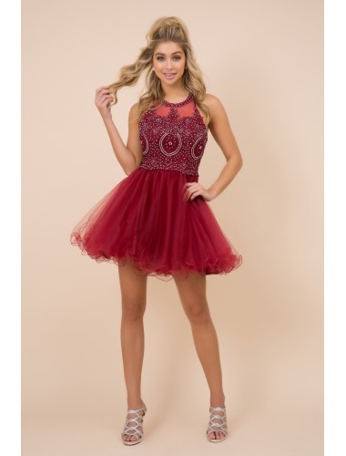 Fully Lined Sparkly Lace Tulle Cocktail Dress - CH-NAB652-BURGUNDY