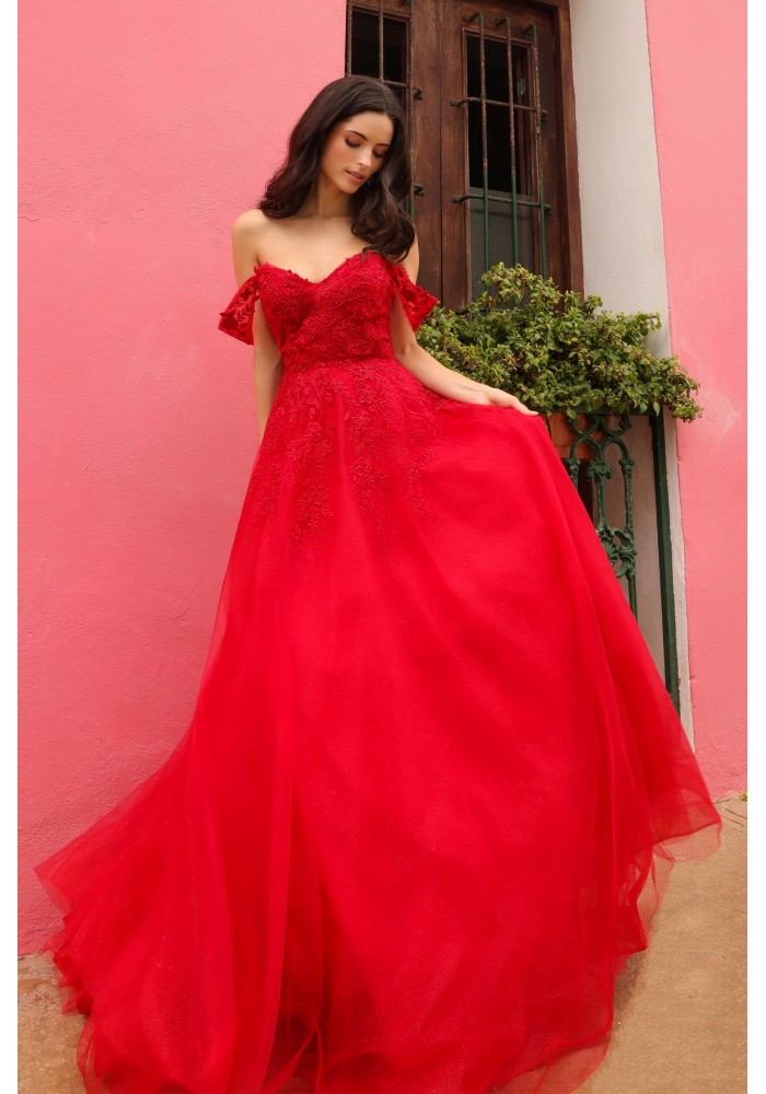 Plus Size - Prom / Evening Dress