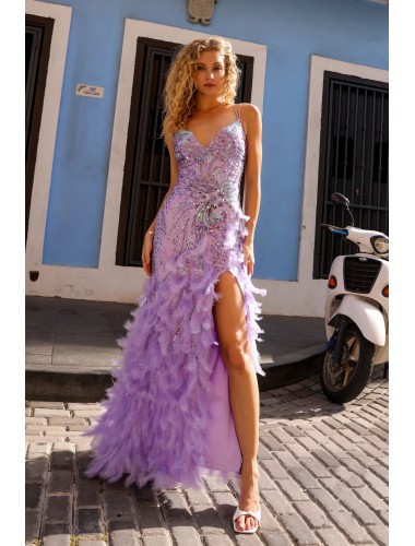Prom / Evening Dress - Fitted Sleeveless Feather Dress - CH-NAC1413