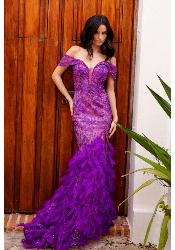 Prom / Evening Dress - w/ Feather - CH-NAC1461