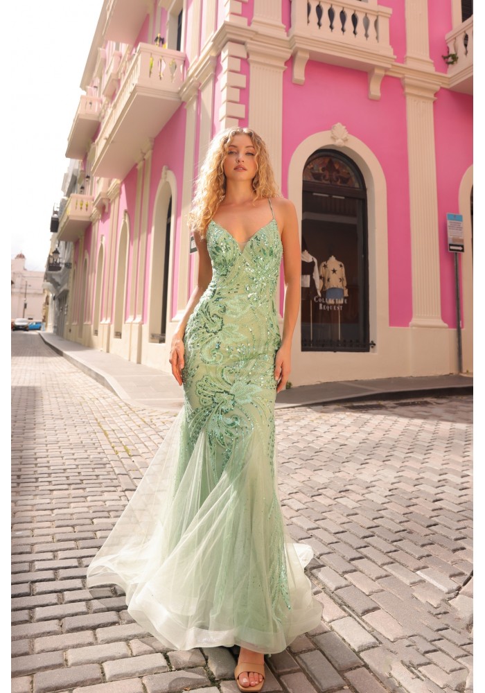 Prom / Evening Dress - Mermaid  - CH-NAC1416