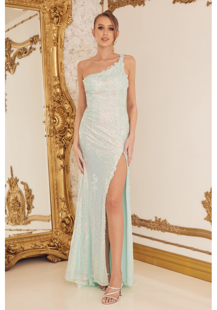 Prom / Evening Dress - CH-NAD1158