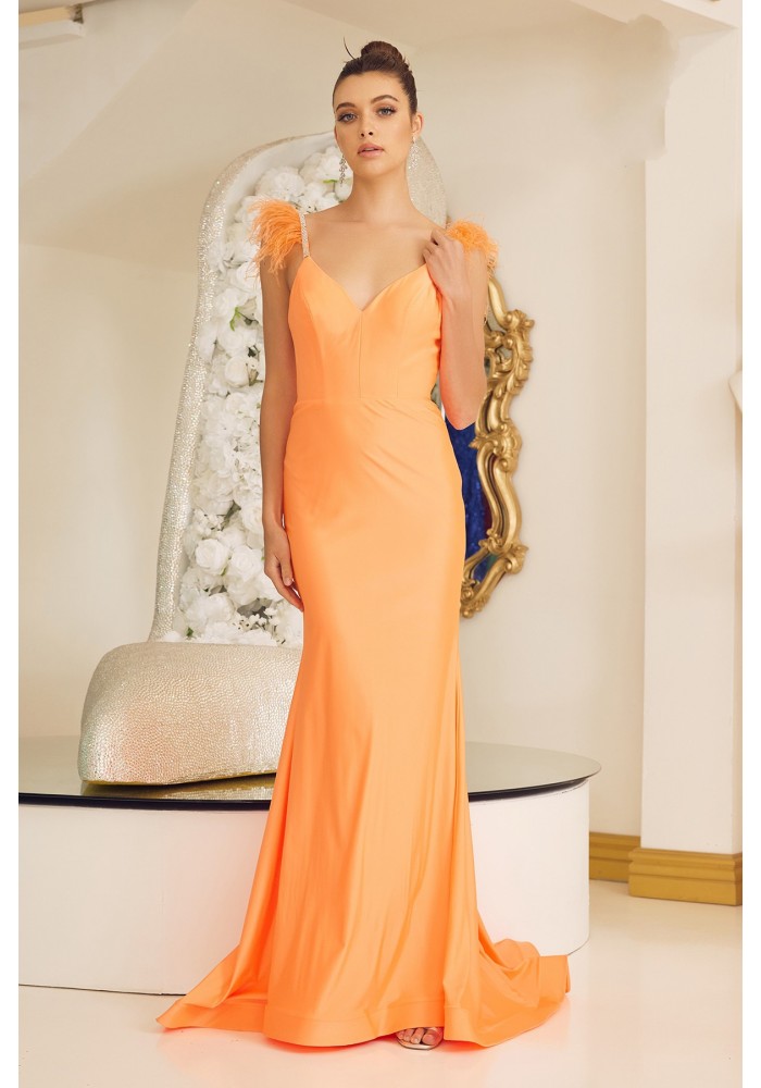 Prom / Evening Dress - w/ Feather - CH-NAT1138