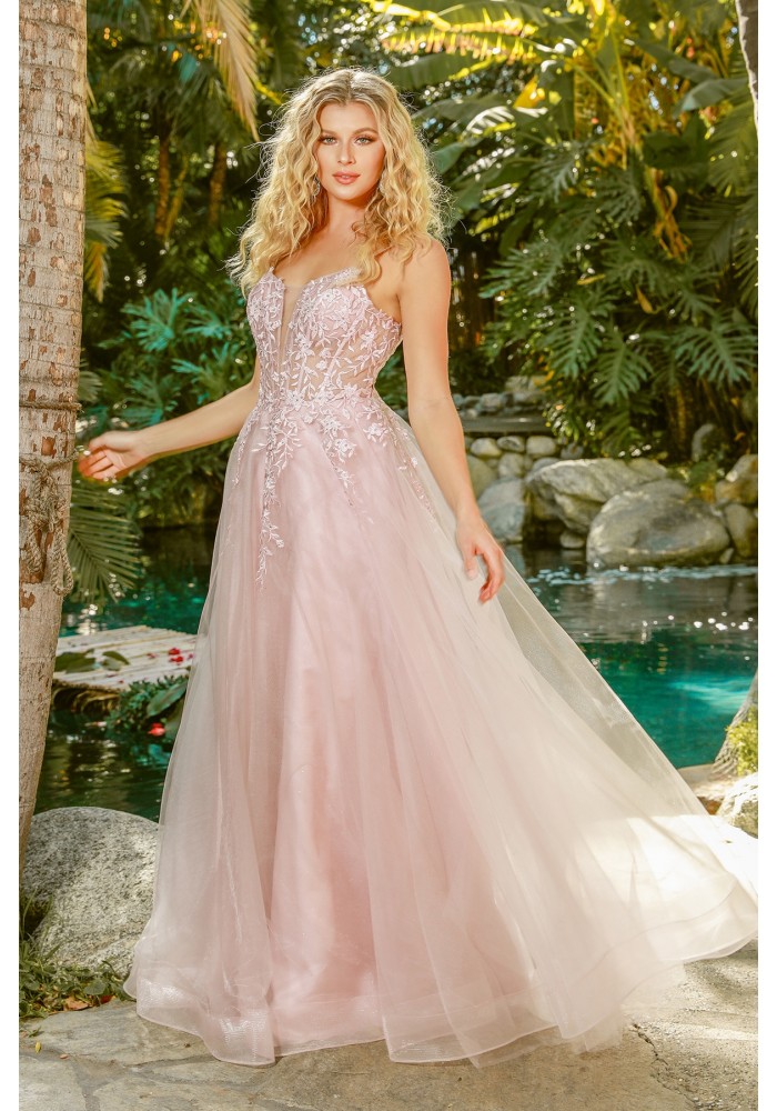 A-Line Floral Embellished Beads Bodice Gown - CH-NAT449