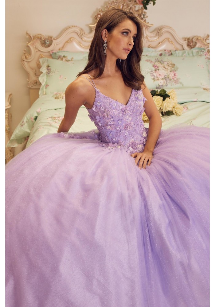 Quinceanera Ball Gowns - CH-NACU1115