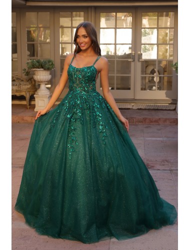 Semi-Quinceanera Ball Gowns - CH-NAH1271
