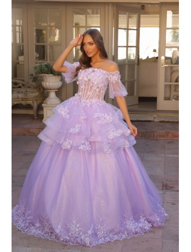 Semi-Quinceanera Ball Gowns - CH-NAH1360