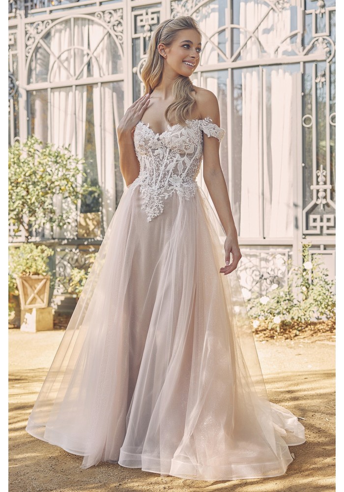 Wedding Dress - Glitter Tulle Off-Shoulder Dress with Floral Applique - CH-NAC1107W