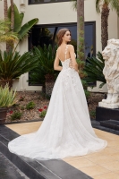 A Line Tulle Gown Illusion Side Panels Applique Straps - CH-NAJE1062L