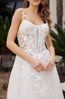 A Line Tulle Gown Illusion Side Panels Applique Straps - CH-NAJE1062L