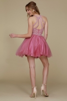Fully Lined Sparkly Lace Tulle Cocktail Dress - CH-NAB652-ROSE