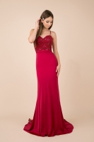 Long Embroidered Bodice Evening Dress - CH-NAE276