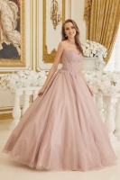 Quinceanera Ball Gowns - CH-NACU1102