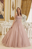 Quinceanera Ball Gowns - CH-NACU1102