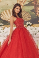 Quinceanera Ball Gowns - CH-NACU1112