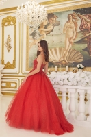 Quinceanera Ball Gowns - CH-NACU1112