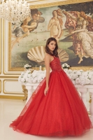 Quinceanera Ball Gowns - CH-NACU1112