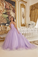 Quinceanera Ball Gowns - CH-NACU1115