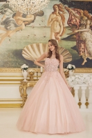 Quinceanera Ball Gowns - CH-NACU1192