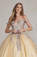 Quinceanera Ball Gowns - CH-NAJU809