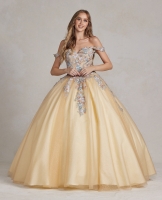 Quinceanera Ball Gowns - CH-NAJU809