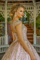 Plus Size Quinceanera Glittery Rose Gold Ball Gown with Cap Sleeves - CH-NAU803P