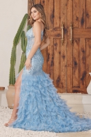 Prom / Evening Dress - w/ Feather - CH-NAC1119