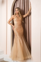 Prom / Evening Dress - Gold Sequin Mermaid Gown - CH-NAH1088