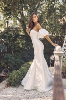 Wedding Dress - Detachable Sleeves Mermaid Wedding Dress - CH-NAJE966