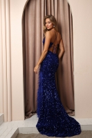 Plunging Neckline Fitted Bodice Velvet Sequin w/ Feather - CH-NAR1059