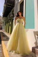 Prom / Evening Dress - CH-NAT1326