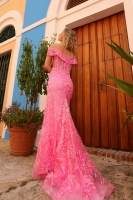 Prom / Evening Dress - Mermaid  - CH-NAC1455