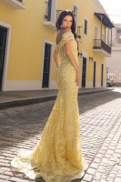 Prom / Evening Dress - Mermaid  - CH-NAC1455