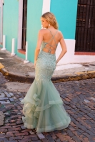 Prom / Evening Dress - Mermaid  - CH-NAG1368