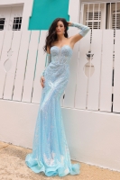 Prom / Evening Dress - Mermaid  - CH-NAD1263