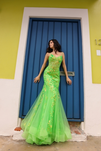 Prom / Evening Dress - Sequin Mermaid Elegance Gown