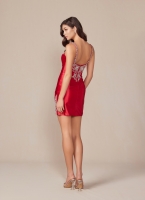 Short Dress Party Cocktail Dress - CH-NAE912