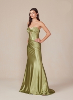 Prom / Evening Gown - Long Formal Satin Fitted Dress - CH-NAT1500