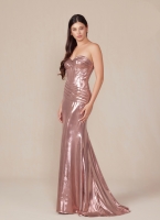 Prom / Evening Gown - Metallic Fitted Strapless - CH-NAT1499